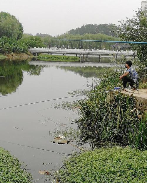浮萍池塘钓鱼技巧教程？如何提高钓获率？  第2张