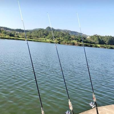 浮萍钓大鱼方法和技巧是什么？如何提高浮萍钓鱼的成功率？  第1张