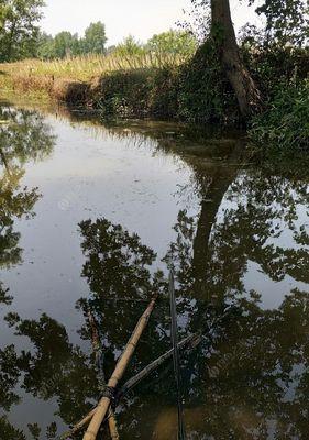 浮萍钓鲤鱼技巧有哪些？如何提高浮萍钓鲤鱼的成功率？  第2张