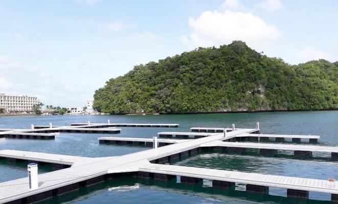 浮桥钓鱼技巧教学有哪些常见问题？如何解决？  第1张