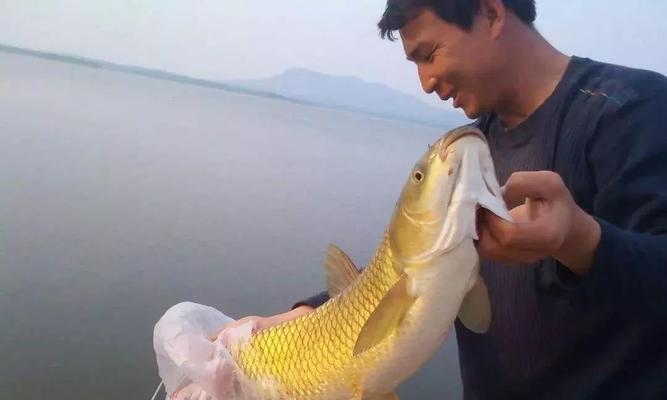浮水钓草鱼技巧有哪些？如何有效提高钓获率？  第3张