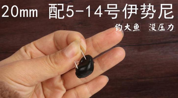 浮水钓颗粒青鱼技巧有哪些？如何提高钓获率？  第1张