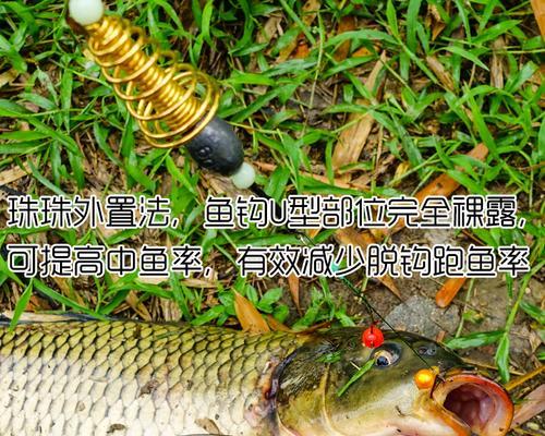 浮水钓鲤鱼的绝招技巧是什么？如何提高钓鲤鱼的成功率？  第1张