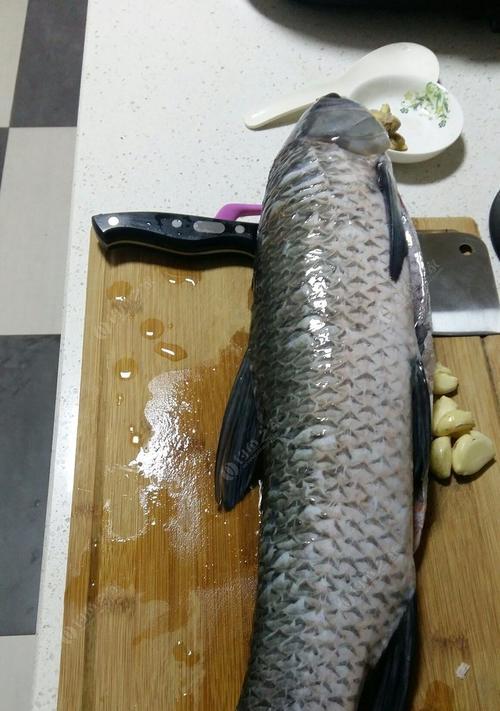 浮水钓青鱼的技巧教程？如何提高钓获率？  第3张