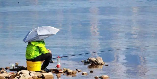 浮水颗粒钓鲤鱼调漂技巧是什么？如何有效掌握？  第3张