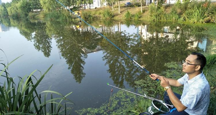 浮水莲钓鱼技巧和方法有哪些？如何提高浮水莲钓鱼的成功率？  第2张