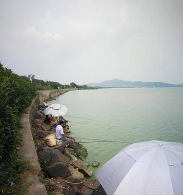 浮头钓鲢鱼技巧有哪些？如何提高钓鲢鱼的成功率？  第2张