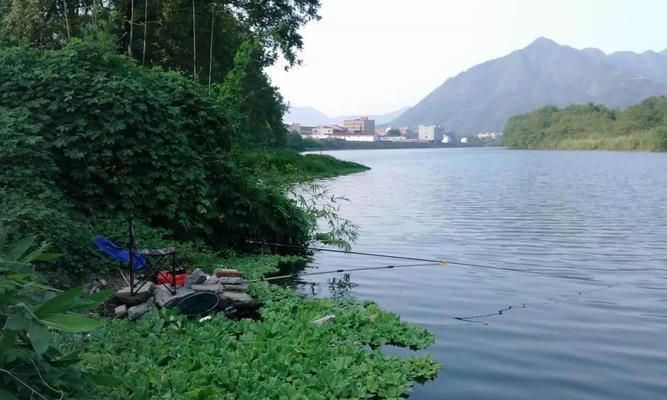 浮头钓鲢鱼技巧有哪些？如何提高钓鲢鱼的成功率？  第3张