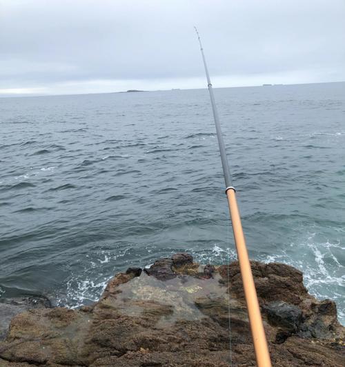 浮游矶钓的技巧有哪些？如何提高浮游矶钓的成功率？  第3张