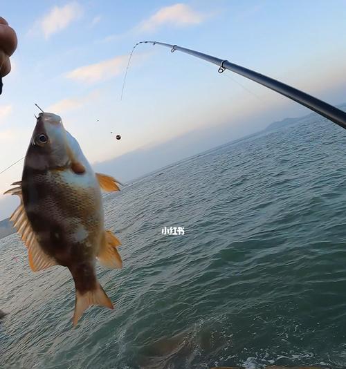 浮游矶钓技巧有哪些？如何提升浮游矶钓经验？  第3张