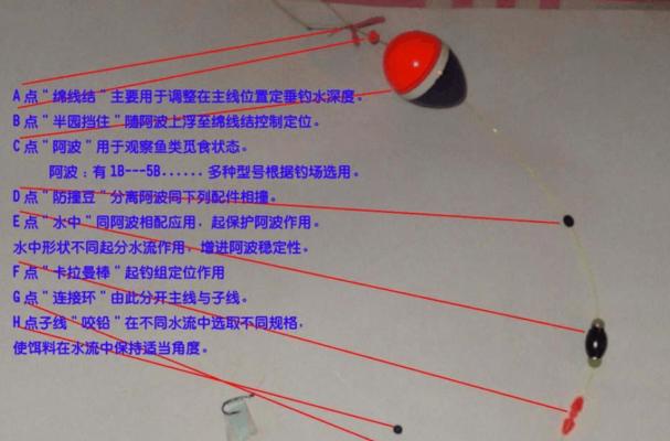 浮游矶钓夜钓海鲈技巧有哪些？如何提高钓获率？  第3张
