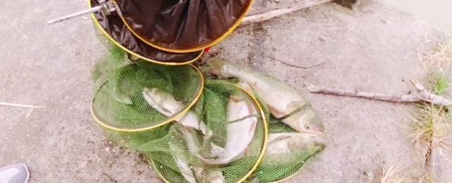 涪江河钓鱼技巧有哪些？如何提高钓鱼成功率？  第1张