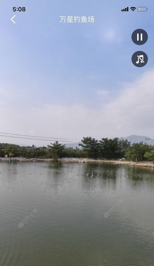 福州黑坑钓鱼技巧有哪些？如何提高钓鱼成功率？  第1张