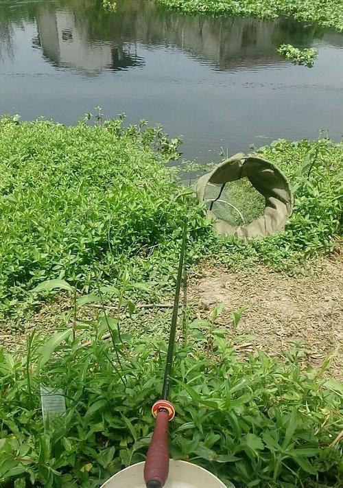 附近河沟野钓技巧有哪些？如何提高野钓成功率？  第3张