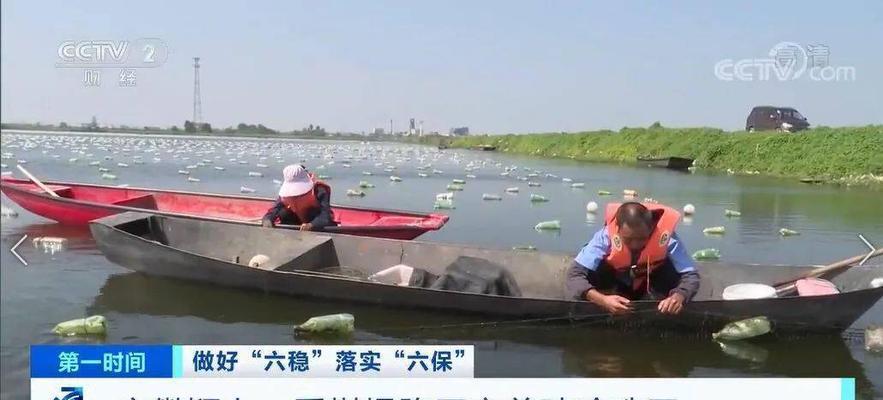 阜阳塌陷区垂钓技巧有哪些？如何在塌陷区成功钓到鱼？  第2张
