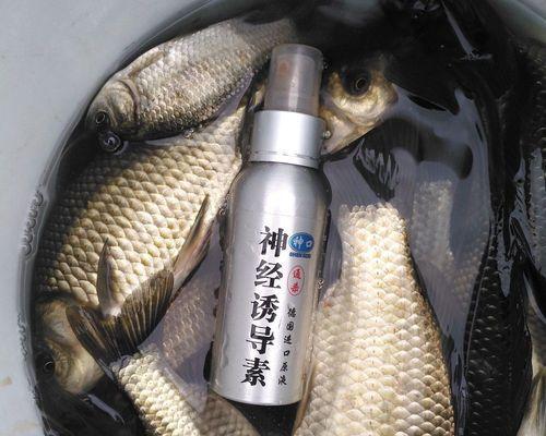 复合香型钓鱼小药剂量怎么用？使用技巧有哪些？  第1张