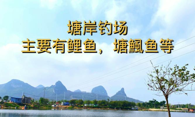 副场钓鱼技巧教程？如何快速掌握副场钓鱼技巧？  第1张