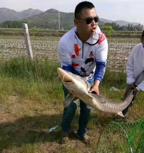 甘草酒钓黑坑钓鱼技巧有哪些？如何提高钓黑坑的成功率？  第2张