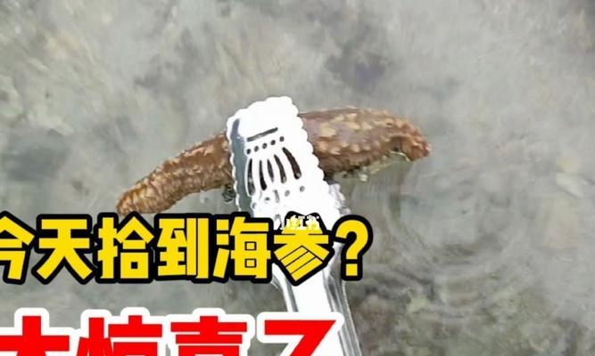 赶海钓鱼技巧教学有哪些常见问题？如何解决？  第1张