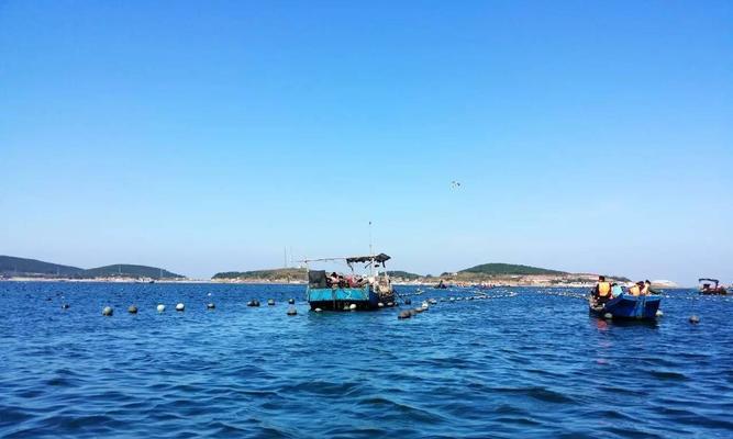 赶海钓鱼捉海鲜技巧有哪些？如何提高成功率？  第1张