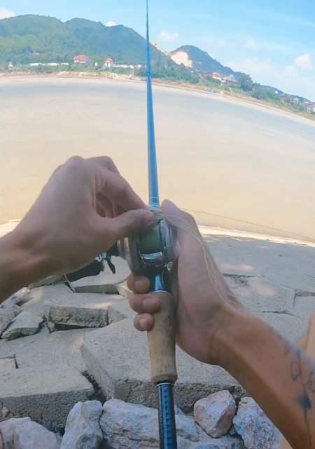赶海钓鱼捉海鲜技巧有哪些？如何提高成功率？  第3张