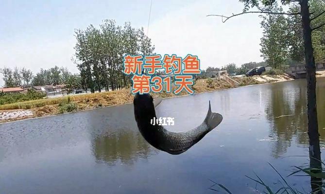 感冒了钓鱼技巧有哪些？如何在不适时享受垂钓乐趣？  第3张