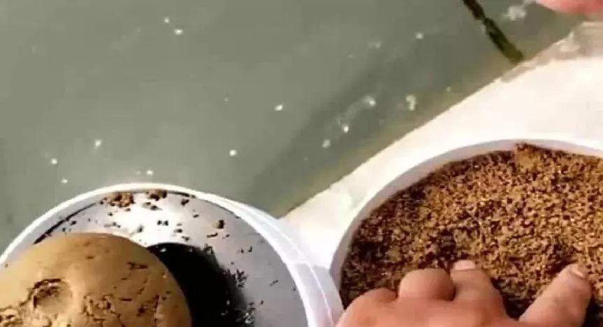 干旱季节如何提高钓鱼技巧？有哪些有效方法？  第2张