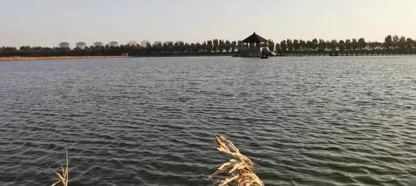 干旱水库钓鱼技巧是什么？如何提高钓鱼成功率？  第3张