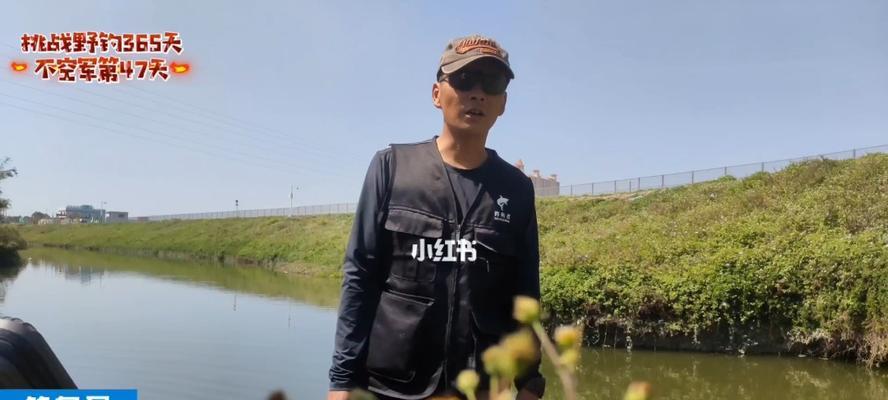 如何在干净水渠中钓鱼？掌握哪些技巧能提高钓鱼成功率？  第1张