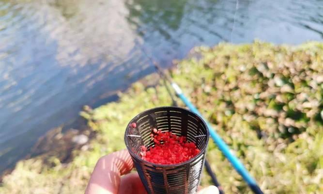 干枯草堆钓鱼技巧有哪些？如何提高钓鱼成功率？  第2张