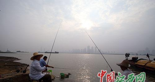 赣江五月钓鱼技巧有哪些？如何应对赣江五月的鱼情变化？  第1张