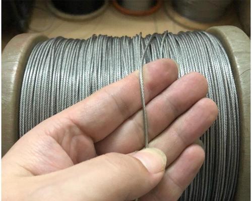 钢丝钓鱼技巧教程？如何快速掌握钢丝钓鱼的正确方法？  第2张