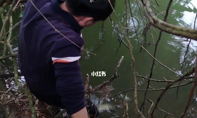 河里钓鱼收获技巧教程？如何提高钓鱼效率和成功率？  第3张