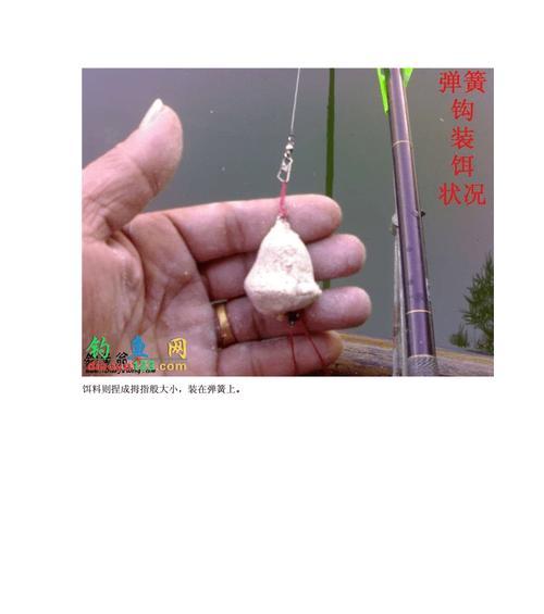 河里流水钓鲢鳙技巧有哪些？如何提高钓鲢鳙的成功率？  第1张