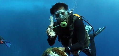 河里潜水钓鱼技巧教学？如何提高潜水钓鱼的成功率？  第2张