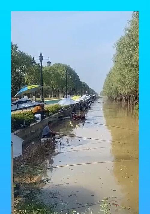 河里水电站钓鱼技巧有哪些？如何提高钓鱼成功率？  第2张