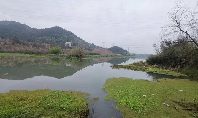 河里水浅时钓鱼技巧有哪些？如何提高钓获率？  第2张