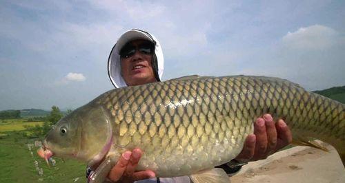 夏季河钓技巧有哪些？如何提高夏季钓鱼的成功率？  第1张