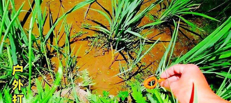 河里野钓技巧杂草太多怎么钓鱼呢？有效应对杂草的钓鱼方法是什么？  第3张