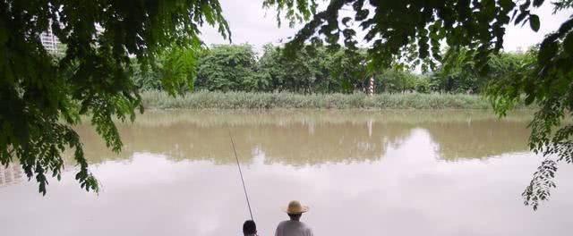 河里野钓如何选择最佳钓位？掌握这些技巧轻松钓到鱼！  第3张