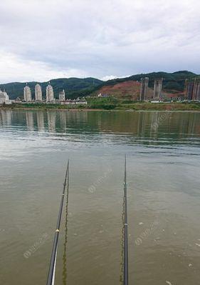 河里涨水后钓鱼技巧是什么？如何应对涨水期的钓鱼挑战？  第2张