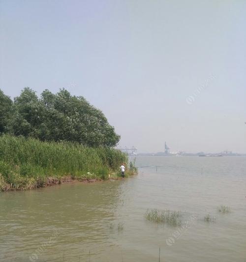 河里涨水天钓鱼技巧是什么？如何应对涨水天气钓鱼？  第1张