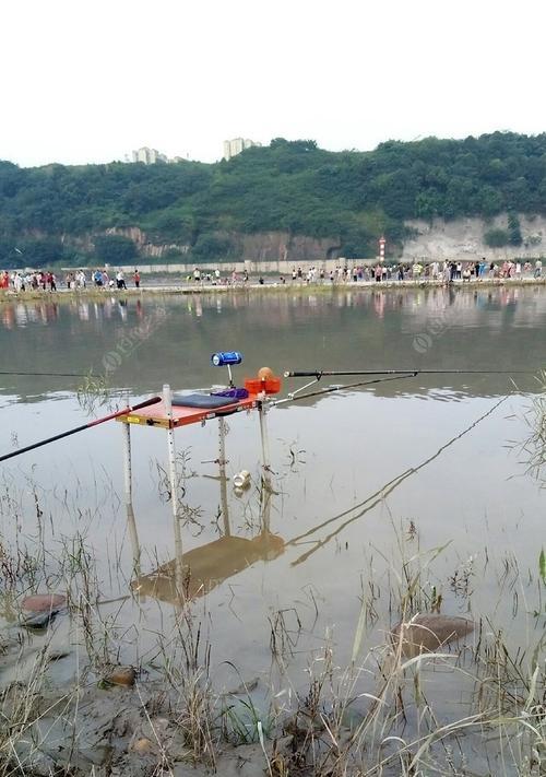 河里涨水时如何野钓鲤鱼？有哪些技巧可以提高成功率？  第1张