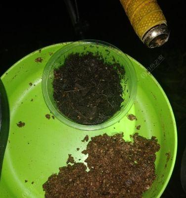 夜钓昂刺鱼技巧有哪些？河里走水时如何提高成功率？  第1张