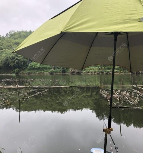 河流坝口钓鱼技巧有哪些？如何提高钓鱼成功率？  第2张