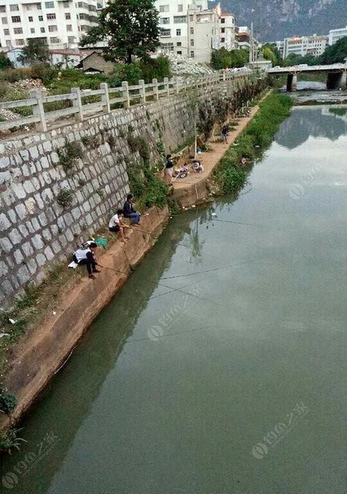 河流钓鱼的技巧有哪些？如何提高钓鱼成功率？  第3张