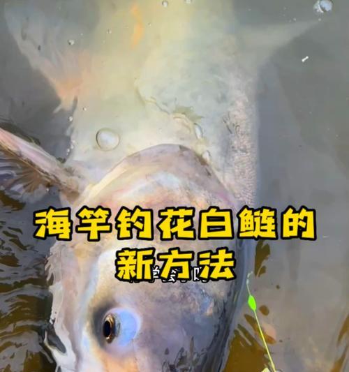 河流钓鱼技巧抛竿怎么掌握？有哪些常见问题及解决方法？  第3张
