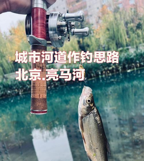 河流钓鱼技巧教程？如何提高河流钓鱼的成功率？  第2张