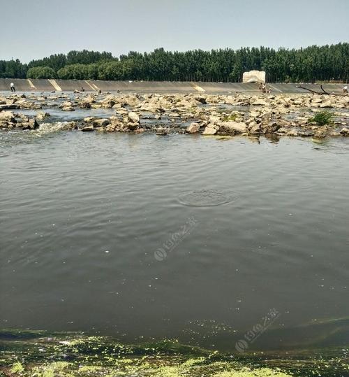 河流钓鱼技巧有哪些？最佳饵料选择是什么？  第2张