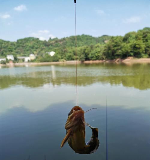 河流钓鱼野钓技巧有哪些？如何提高野钓成功率？  第3张